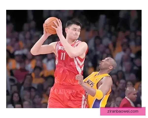 nba身高高，那些惊人身高背后的篮球传奇与别样故事